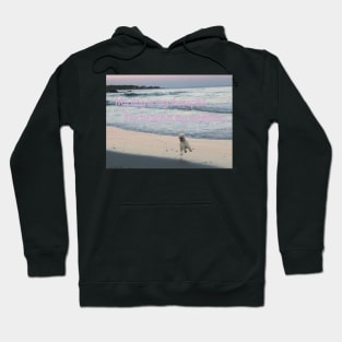 My dog is my therapist. The beach is my medicine. Hoodie